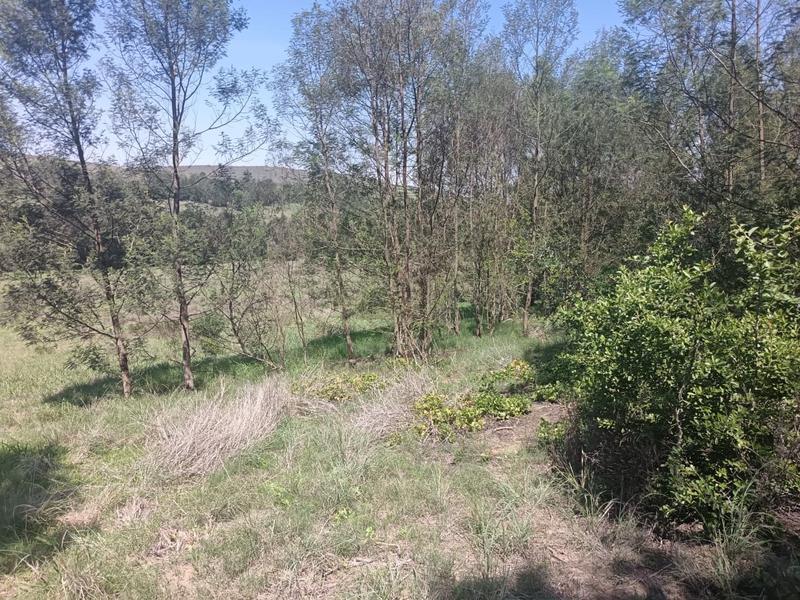 0 Bedroom Property for Sale in Albertinia Western Cape